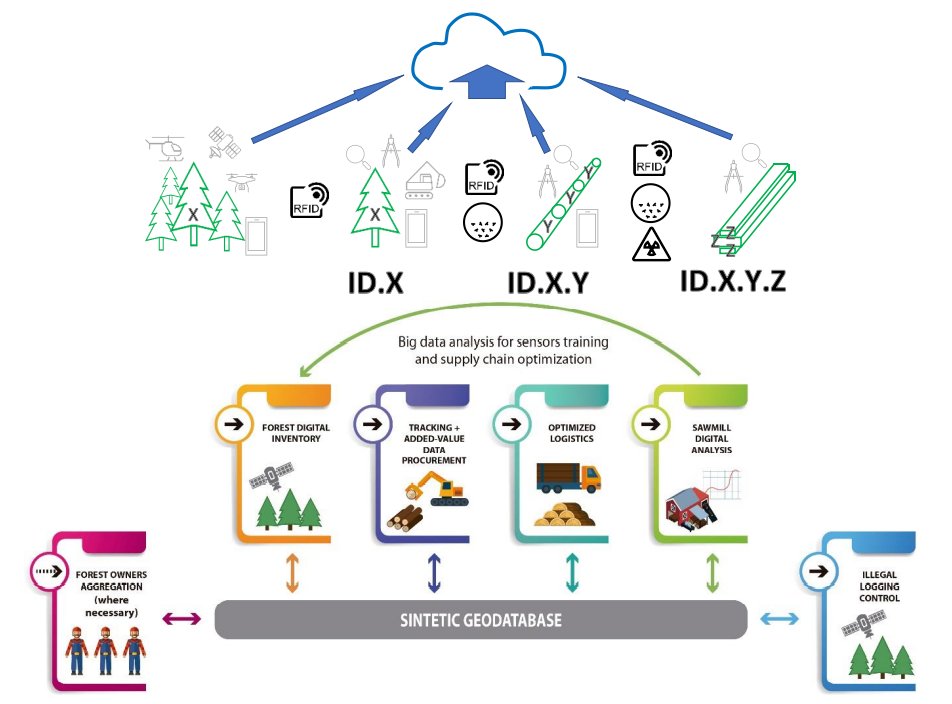 Infography